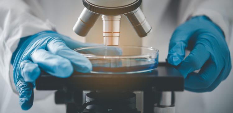 Close up of a researcher's gloved hands holding a petri dish under a microscope - idea of microbial detection through culture methods