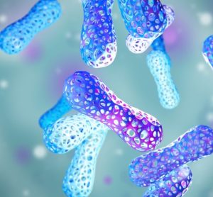 New acquisition to accelerate microbiome therapeutics manufacture - Kanvas Biosciences