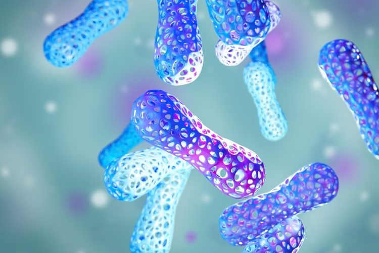 New acquisition to accelerate microbiome therapeutics manufacture - Kanvas Biosciences