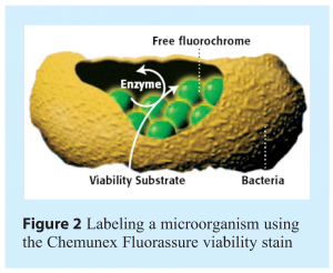 miller - Figure 2