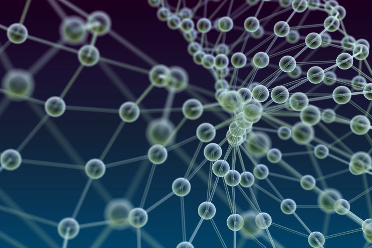 molecules joined together in a scaffold