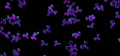 Transforming oncology with antibody therapeutics - bispecific monoclonal antibody