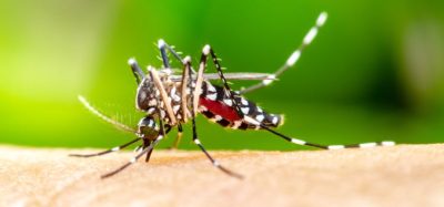 Monoclonal antibody could prevent malaria, study shows