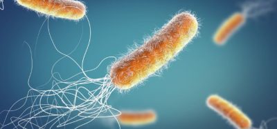 Promising first-in-human study results for murepavadin orally inhaled antibiotic - macrocycle compound