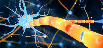 myelinated neurone illustration