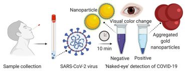 A nasal swab containing a test sample is mixed with a simple lab test. It contains a liquid mixed with gold nanoparticles attached to a molecule that binds to the novel coronavirus. If the virus is present, the gold nanoparticles turns the solution a deep blue colour (bottom of the tube) and a precipitation is noticed.  If it is not present, the solution retains its original purple colour.  