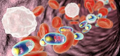 NPs delivering nanomedicine to tumour
