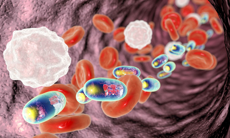 NPs delivering nanomedicine to tumour