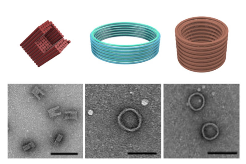 three different nanostructures created by researchers, C-shaped and two barrel shapes