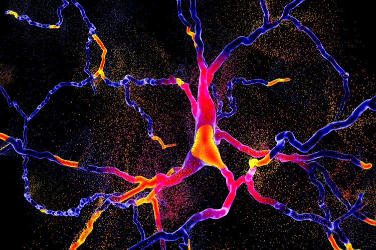 metachromatic leukodystrophy