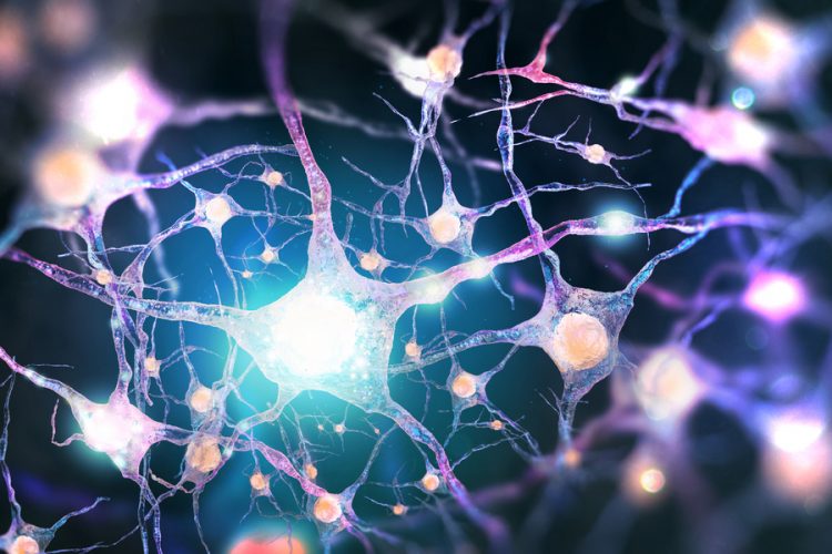 Neurons affected by Parkinson's disease
