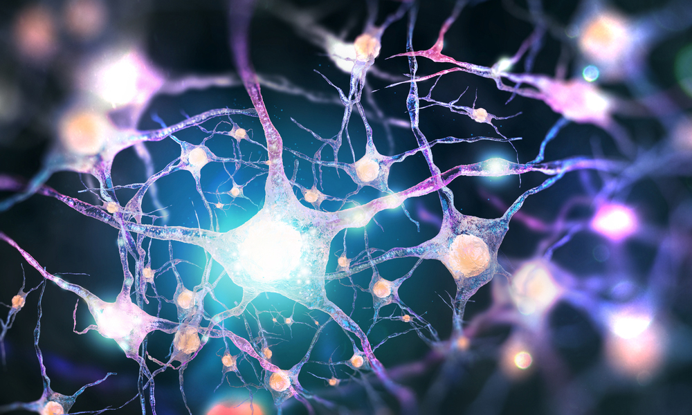 Neurons affected by Parkinson's disease