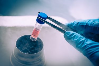 tube of pink liquid containing stem cells that has been cryogenically frozen