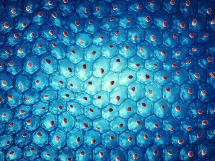 3D computer rendering of a stem cell colonie - hundred of blue cells each with an orange dot (nucleus) in the centre