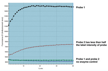 Figure 1: Two probes were subjected to DNase I digestion alongside a no DNase I control. Probe 1 functioned well in qPCR and probe 2 very poorly. There is an increase in background fluorescence after digestion of both probes with a significantly higher yield for probe 1. It is apparent that probe 2 is inadequately labelled