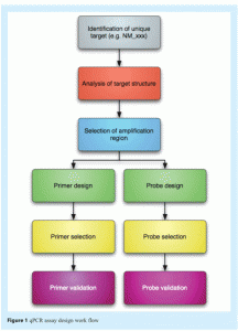 nolan - Figure 1