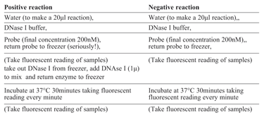 Table 3