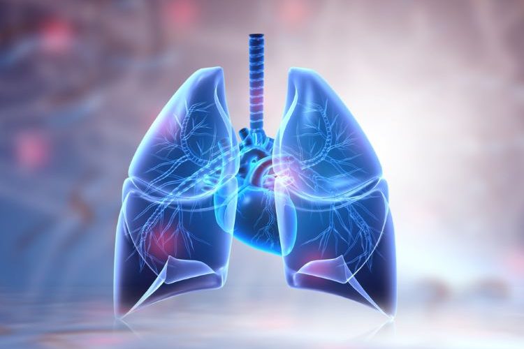 Dostarlimab combination facilitates promising lung cancer survival