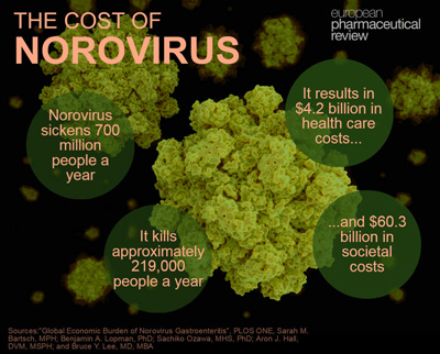 norovirus