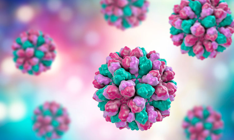 norovirus