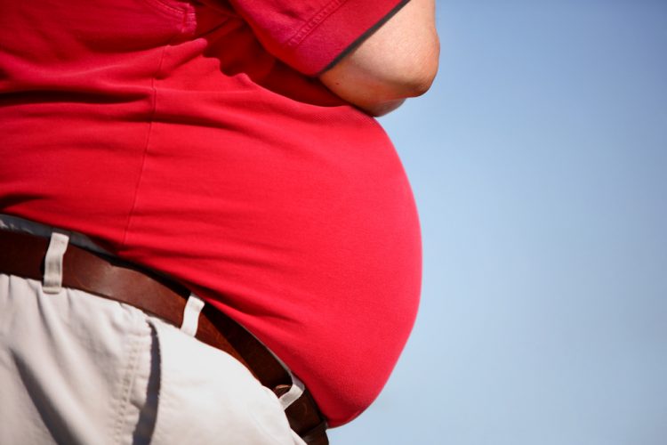 close up of an overweight or obese person's stomach