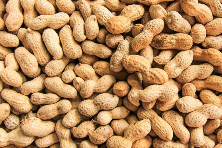 MATblood test safely and accurately diagnoses peanut allergies