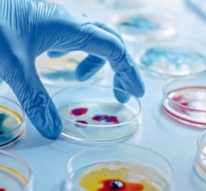 Pharmaceutical microbiology: key developments 2022