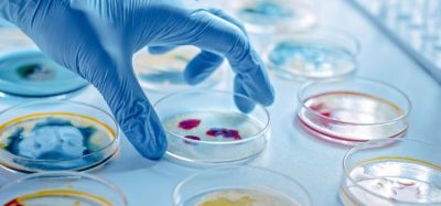 Pharmaceutical microbiology: key developments 2022
