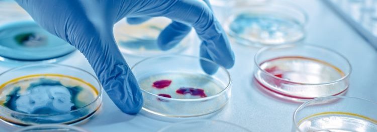 Pharmaceutical microbiology: key developments 2022