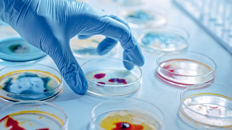 Pharmaceutical microbiology: key developments 2022