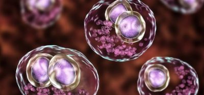 livtencityTM - First oral treatment approved for post-transplant refractory cytomegalovirus