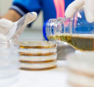 Could reducing agar concentration enhance microbial growth? Enhancing the pour plate method