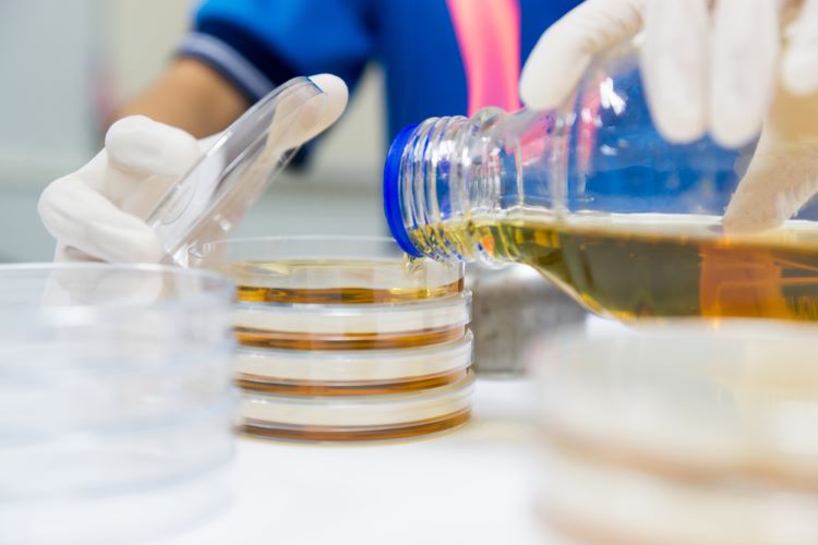 Could reducing agar concentration enhance microbial growth? Enhancing the pour plate method