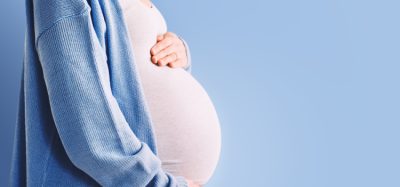 Woman holding pregnant stomach