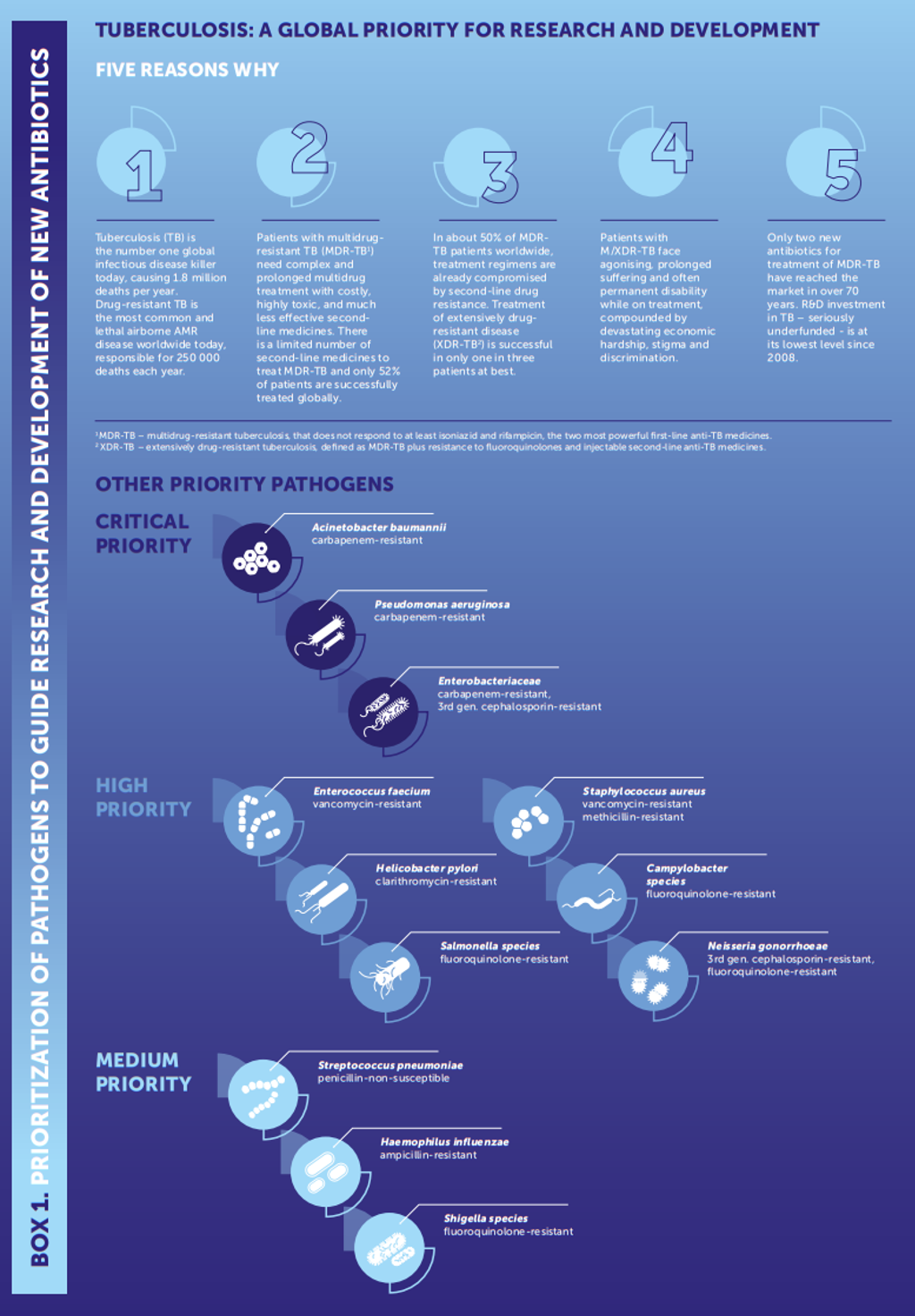 diagram of WHO priority pathogens in order of level of priority