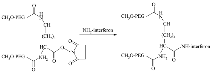 Figure 2 - Conjunation chemistry for Pegasys 44