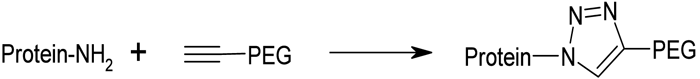 Figure 7 - Site specific PEGylation using click chemistry