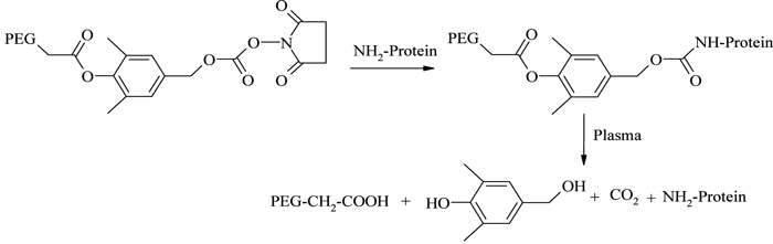 Figure 8 - Reversible PEGylation using 1,6-benzyl elimination