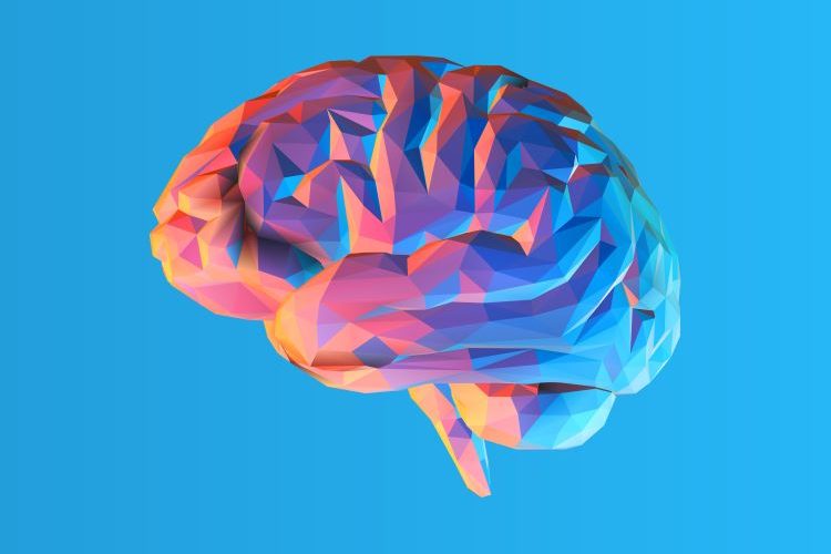 colourful illustration of a human brain - idea of mental disorder or mental health treatment