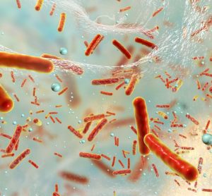 First-in-class oral antibiotic improves tuberculosis