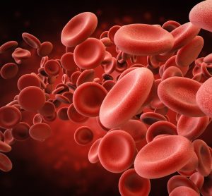 3d rendering pf red blood cells in vein - idea of blood/blood disorder
