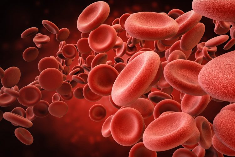 3d rendering pf red blood cells in vein - idea of blood/blood disorder