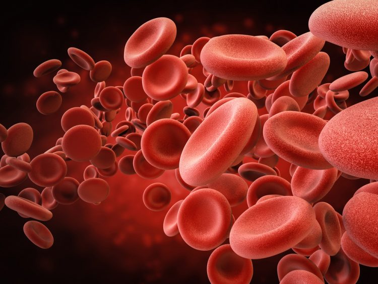 3d rendering pf red blood cells in vein - idea of blood/blood disorder