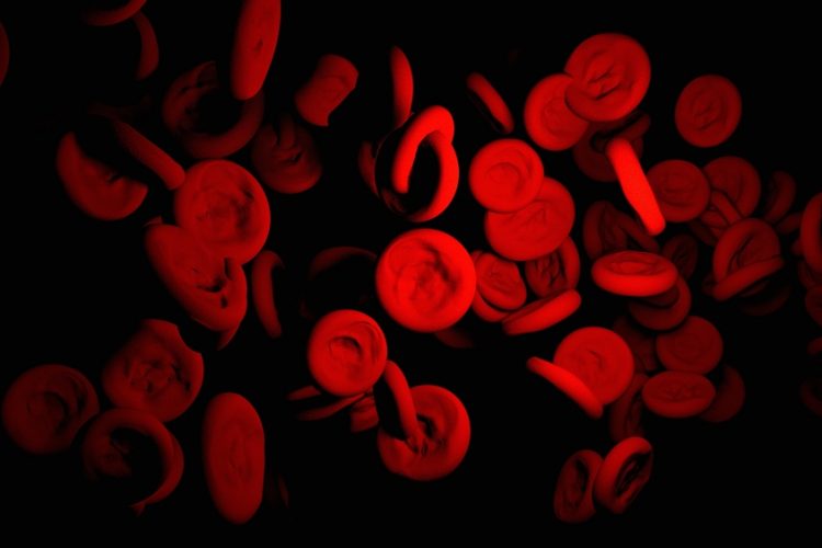 red blood cells on a black background - idea of blood disorder