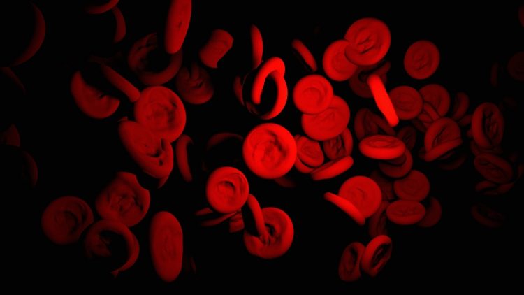 red blood cells on a black background - idea of blood disorder
