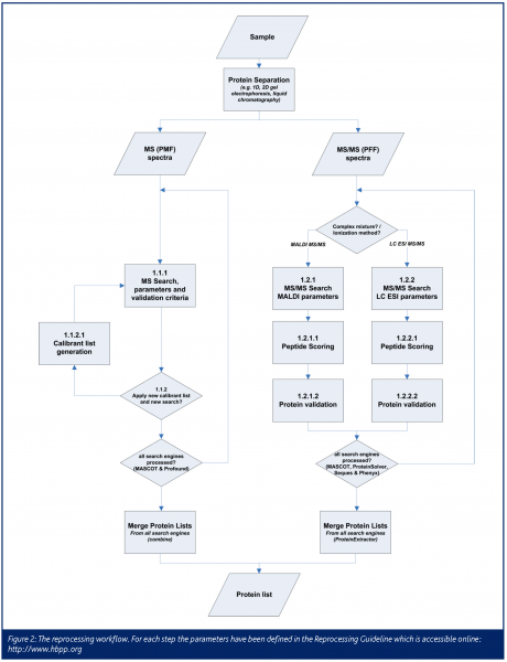 reidegeld figure 2