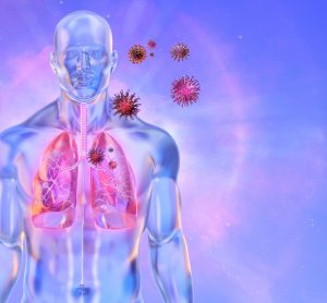 Coronavirus particles net to body with lungs highlighted