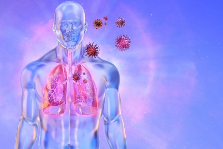 Coronavirus particles net to body with lungs highlighted