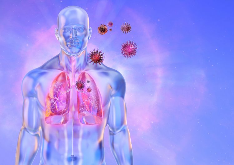 Coronavirus particles net to body with lungs highlighted
