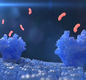 revumenib - novel small molecule drug facilitates leukaemia remission